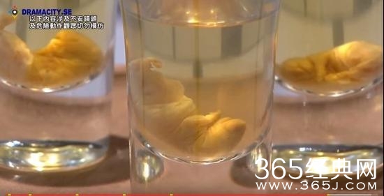 香港节目逼嘉宾吞老鼠 舌舔壮汉脚趾蜜