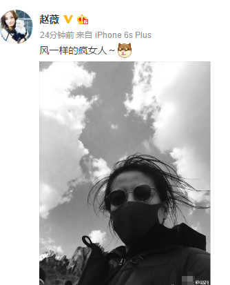 赵薇黑超自拍头发凌乱 网友吐槽没洗头吧