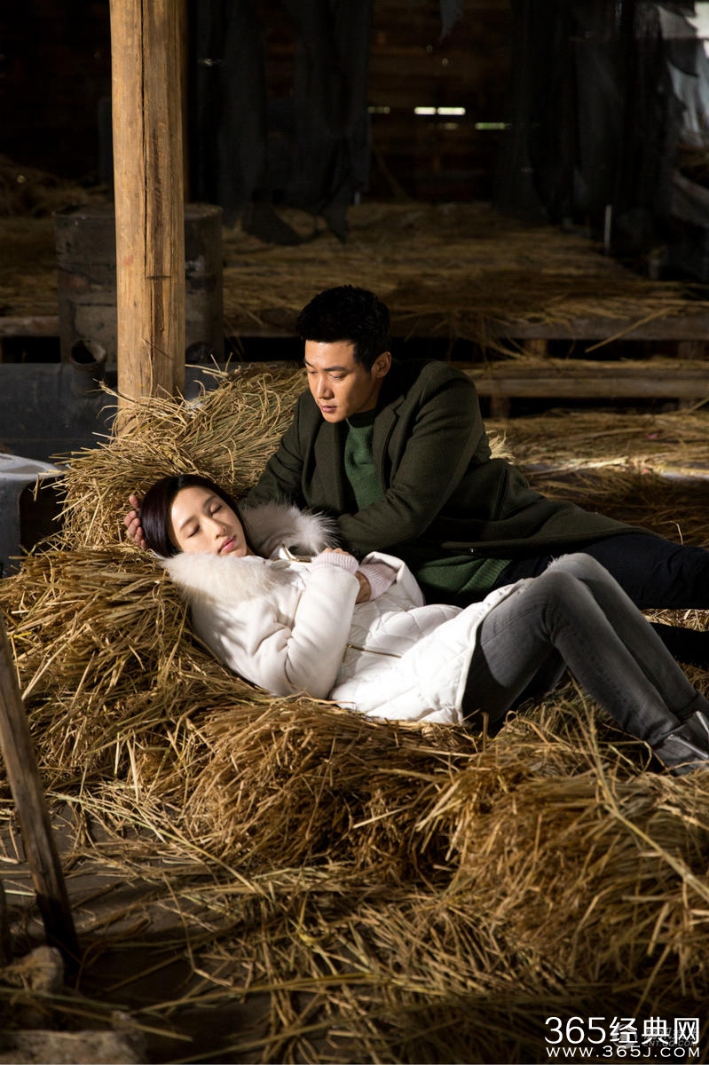 致单身男女插曲爱难抗拒歌词