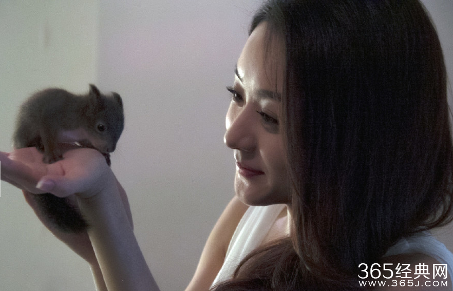 赵丽颖亲吻松鼠 大胆将其放脖颈处