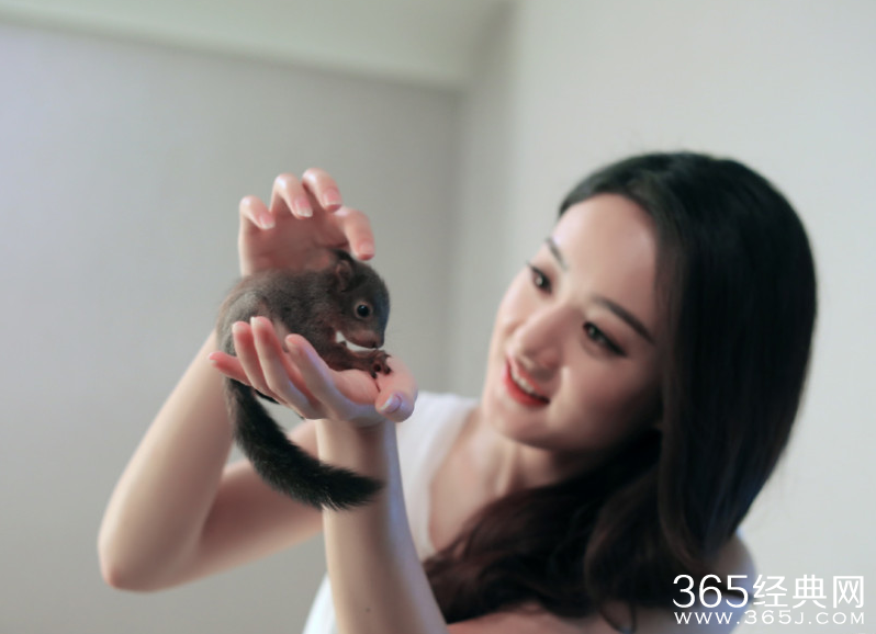 赵丽颖亲吻松鼠 大胆将其放脖颈处