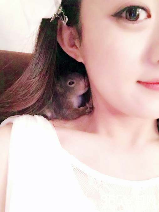赵丽颖亲吻松鼠 大胆将其放脖颈处