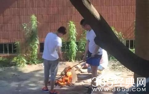 男子小区内烤狗虐狗事件发酵