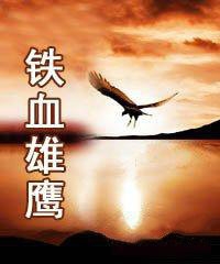 虎胆神鹰播出时间