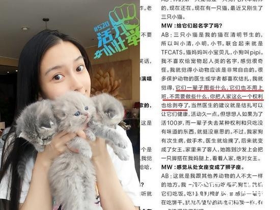 Baby养折耳猫反对结扎 网友炮轰没有脑子