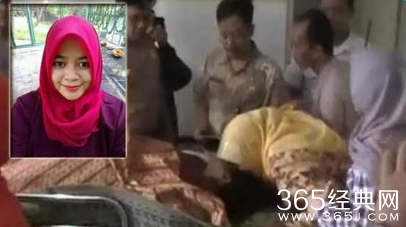 24岁女兽医或因靠近大象自拍被公象踩死