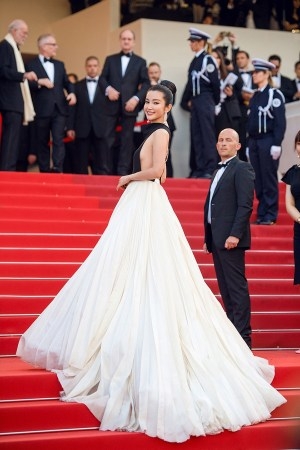 外媒评戛纳红毯十美 李冰冰成唯一上榜华人女星