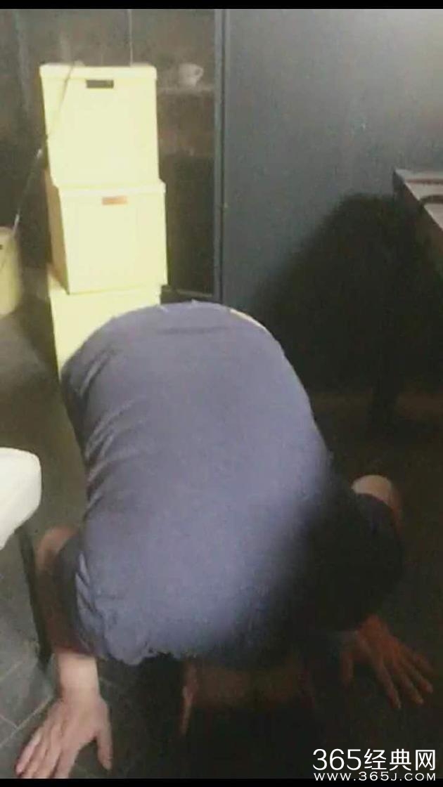 方励直播下跪求院线增加《百鸟朝凤》排片