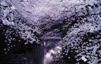 你总说梦想遥不可及，可你却从不早起