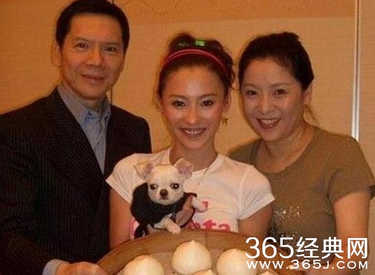 向太陈岚和张柏芝恩怨曝光 炮轰张柏芝不让谢家看孩子