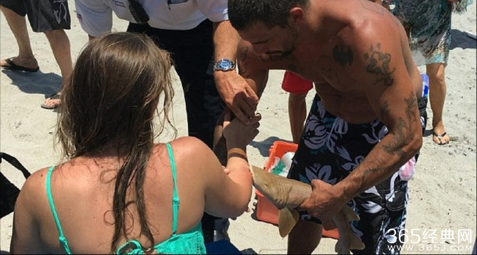 少女遭到鲨鱼攻击 牙齿嵌入手臂死不松口
