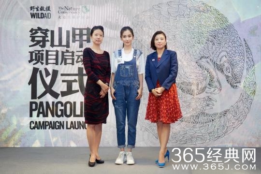 Angelababy携手野生救援 致力保护穿山甲