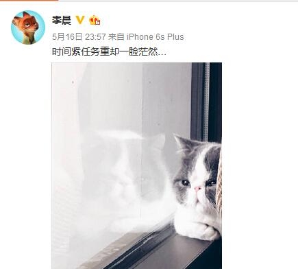 范冰冰怀孕是真的吗 李晨叹时间紧任务重