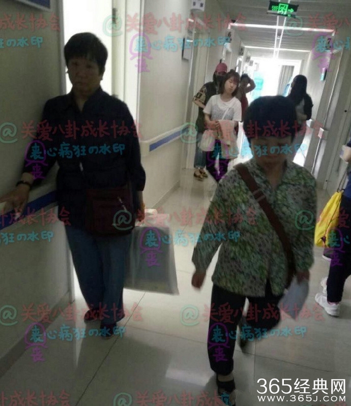 网曝郑爽现身医院 因厌食症做心理咨询