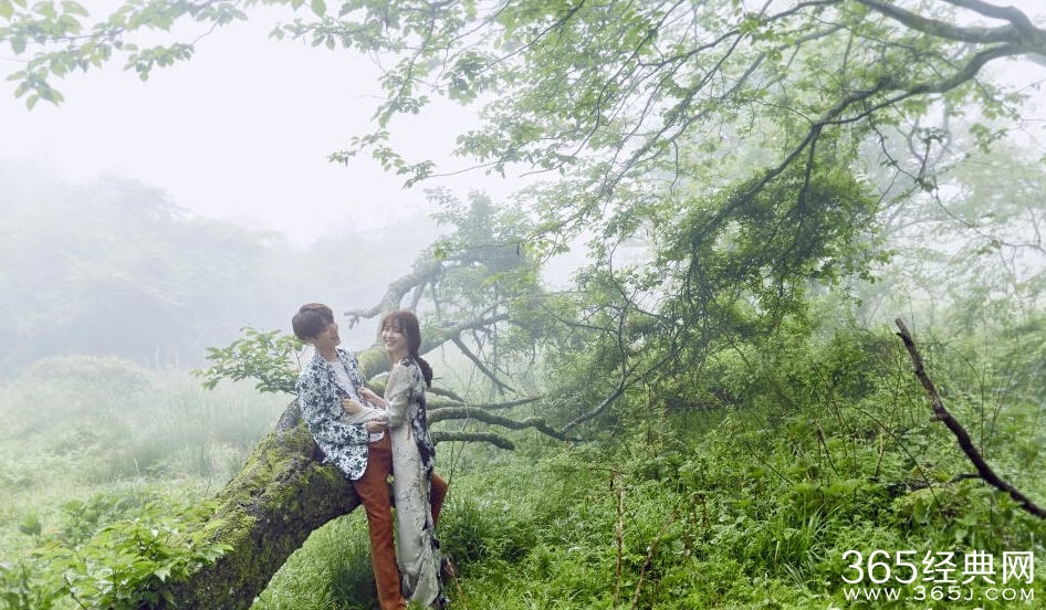 安宰贤具惠善明日大婚 拍甜蜜画报狂虐单身狗