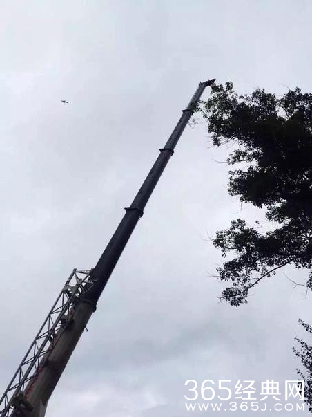 男子乘滑翔伞向女友求婚被挂树上