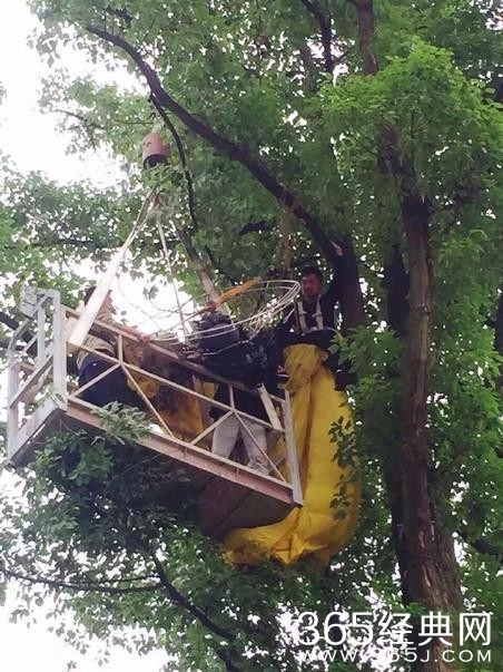 男子乘滑翔伞向女友求婚被挂树上