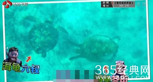 《我们相爱吧》20160529期周冬雨余文乐潜水背景音乐