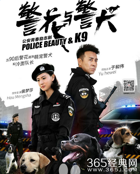 警花与警犬播出时间
