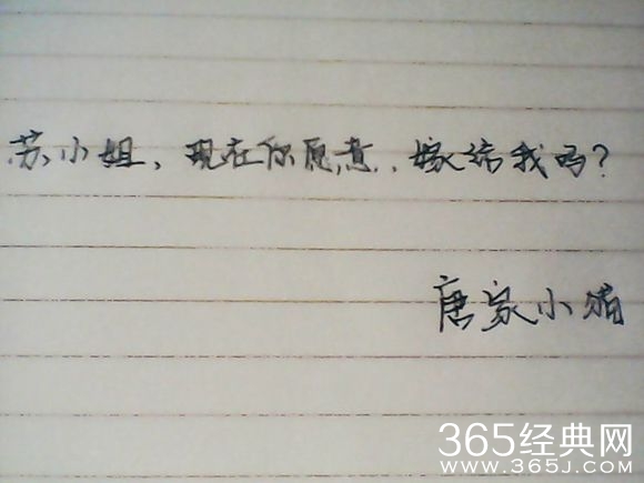 唐家小猫经典语录