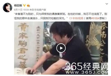 杨臣刚在黄家驹墓地拍照唱歌惹争议