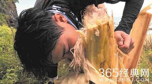 我们的法则20160618期熊黛林饿晕能否继续录制