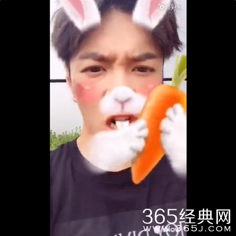张艺兴变兔子啃萝卜视频观看 微博感谢1500万粉丝送福利