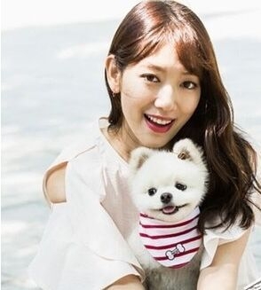 doctors第一集里出现的狗是什么品种的