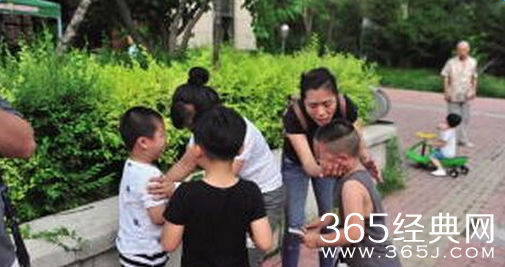 抚顺让4名男童互扇耳光的刘老师资料照片及背景