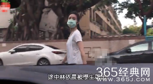 林依晨护肚飘孕味 与公公吃饭悉心照顾