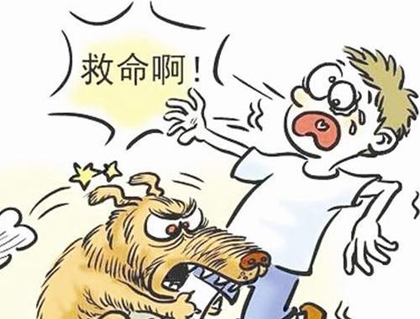 女孩被狗咬伤求赔偿 狗主人：有意见去咬狗