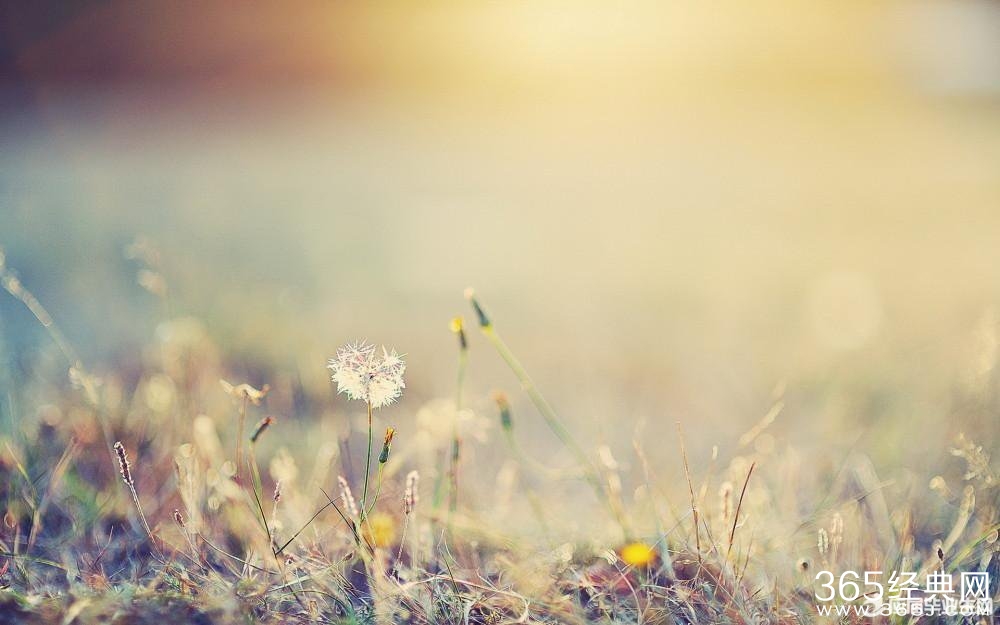 2016年---最新励志性哲理语录大全