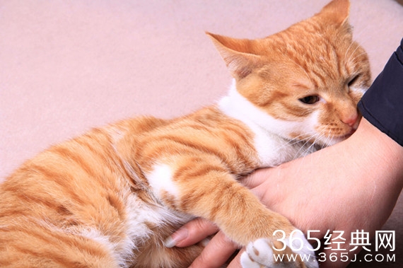 以后跟男友撒娇，千万别用这招！