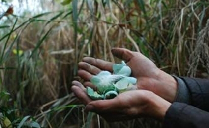 河南大学生掏鸟案逆转 案发地疑造假