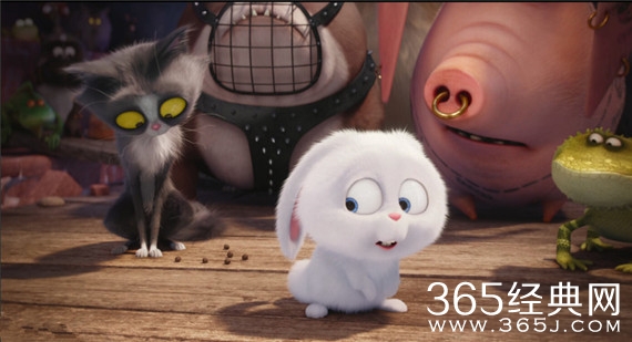 《爱宠大机密》配音阵容公布 陈佩斯饰演反差萌兔