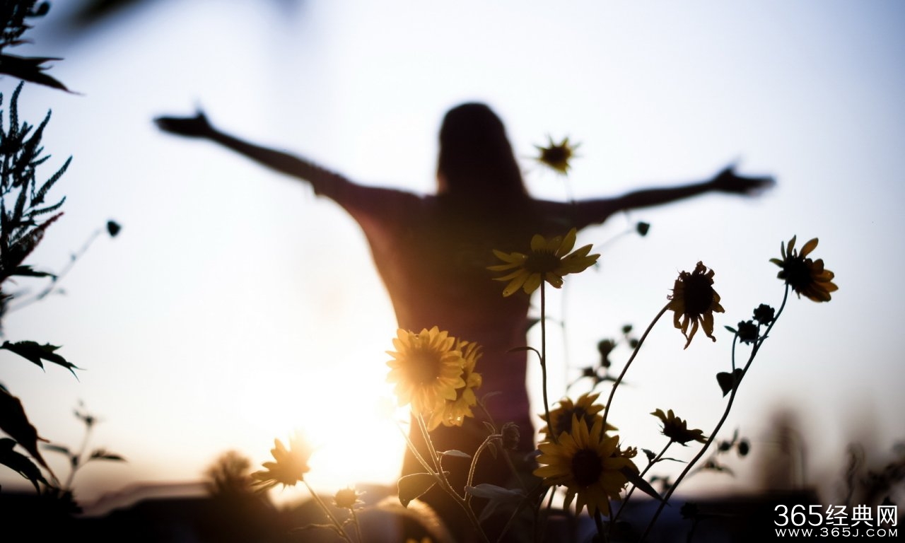 经典人生感悟：曾经拥有的不要忘记；已经得到的更加珍惜。