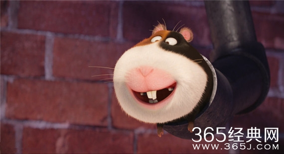 《爱宠大机密》配音阵容公布 陈佩斯饰演反差萌兔