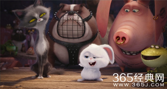 《爱宠大机密》配音阵容公布 陈佩斯饰演反差萌兔