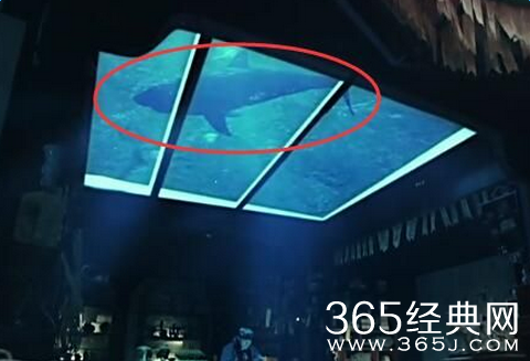 老九门二月红密室顶上养的什么鱼鲸鱼吗