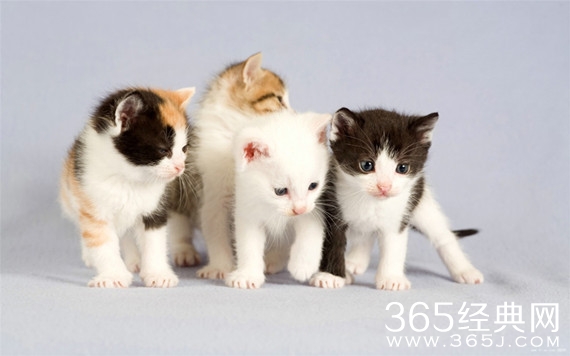 这老头讹人的技术太高明，换我也。。。