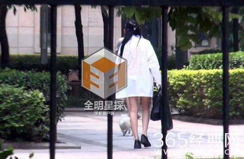 爱狗狂奔险被车撞 张馨予吓得花容失色