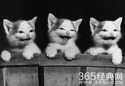 经典段子：搞笑+哲理