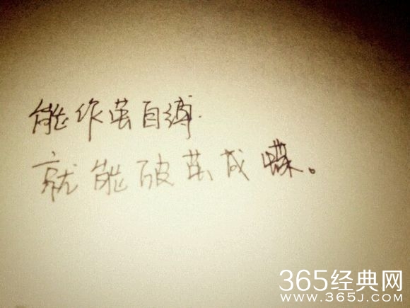 励志语录:相信自己,你能作茧自缚,就能破茧成蝶