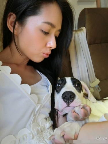 郭碧婷与爱犬亲密自拍 孙红雷无辜躺枪