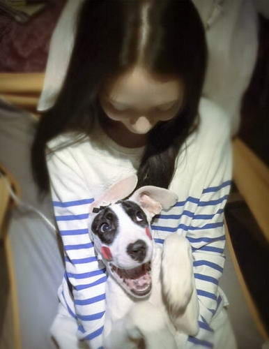 郭碧婷与爱犬亲密自拍 孙红雷无辜躺枪