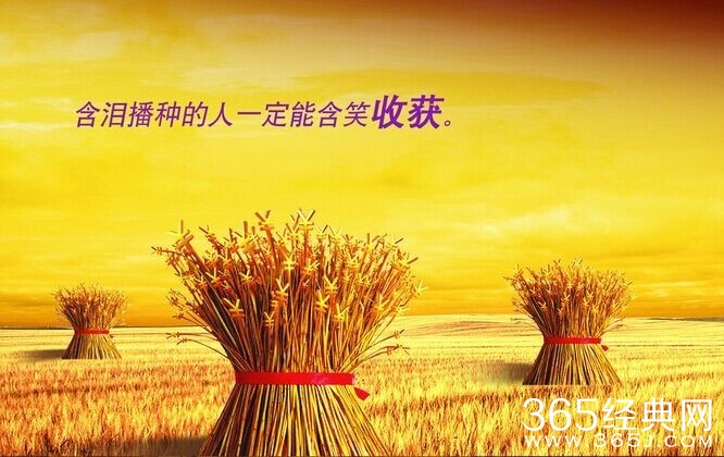 100句励志语：含泪播种的人一定能含笑收获。