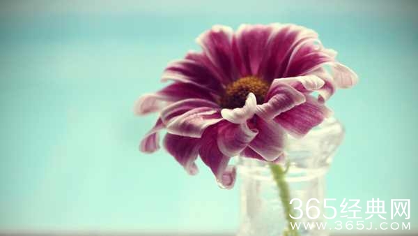 生活不是单行线，一条路走不通，你可以转弯