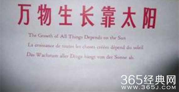 老公，万物生长靠太阳。。。