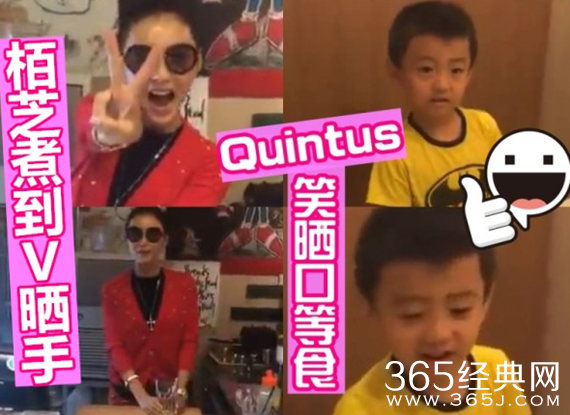 张柏芝直播做饭给儿子吃 Quintus超萌超可爱
