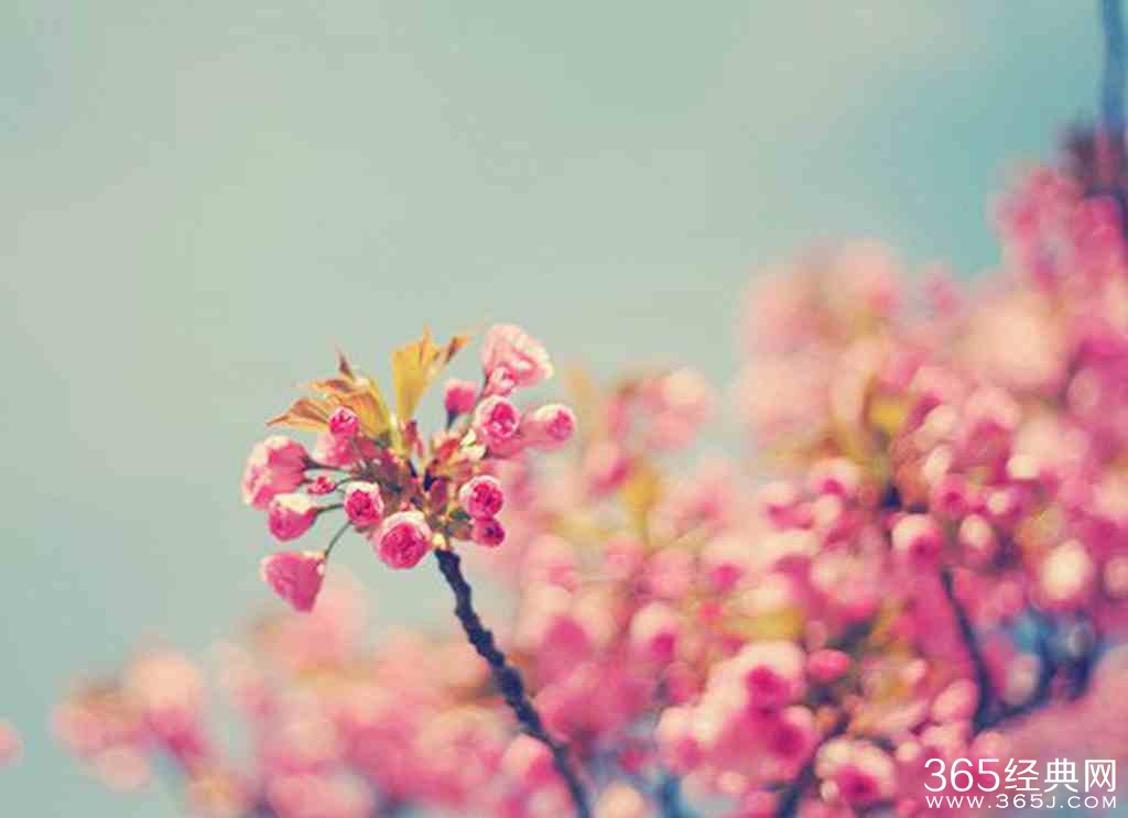 关于担当的句子：人生本来就是一种担当